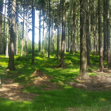 Outdoor hra výsadek Mladá...