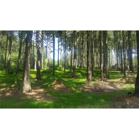 Outdoor hra výsadek Mladá...