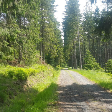 Outdoor hra výsadek Mladá...